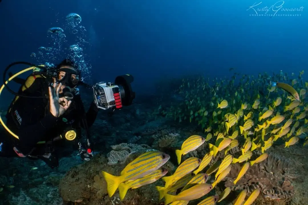 Muneera Sallies underwater with a camera housing beside a school of fish